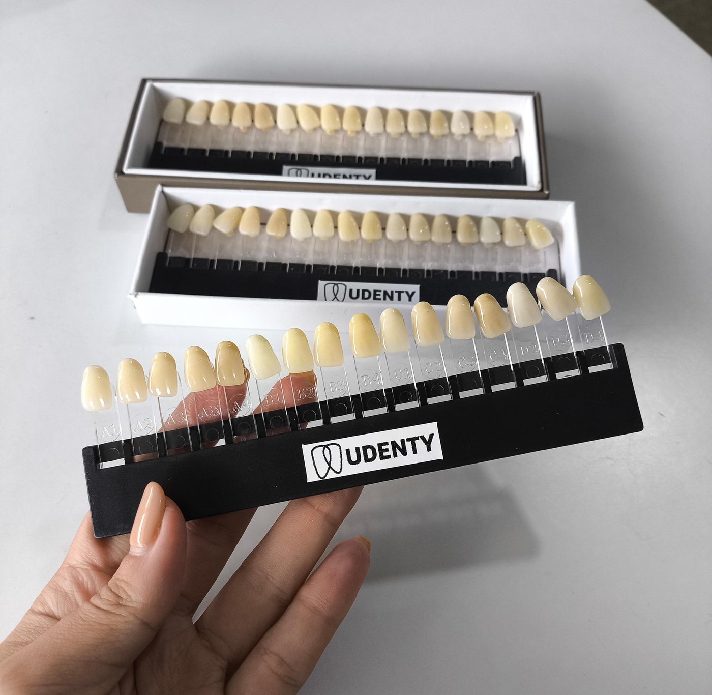 Guía de tonos UDENTY® con los 16 tonos de la línea Vita®